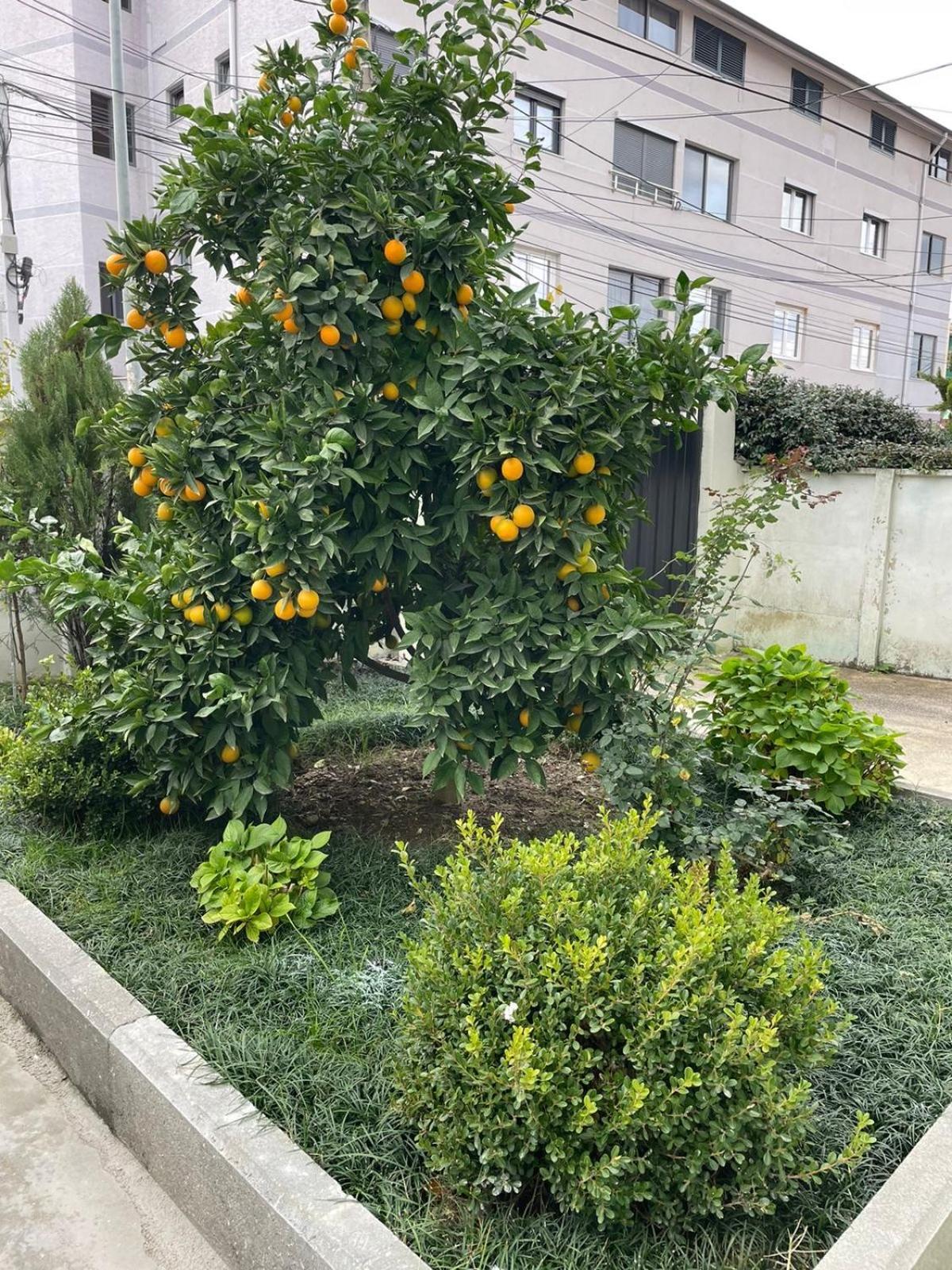 Kevi 'S Place 티라나 외부 사진