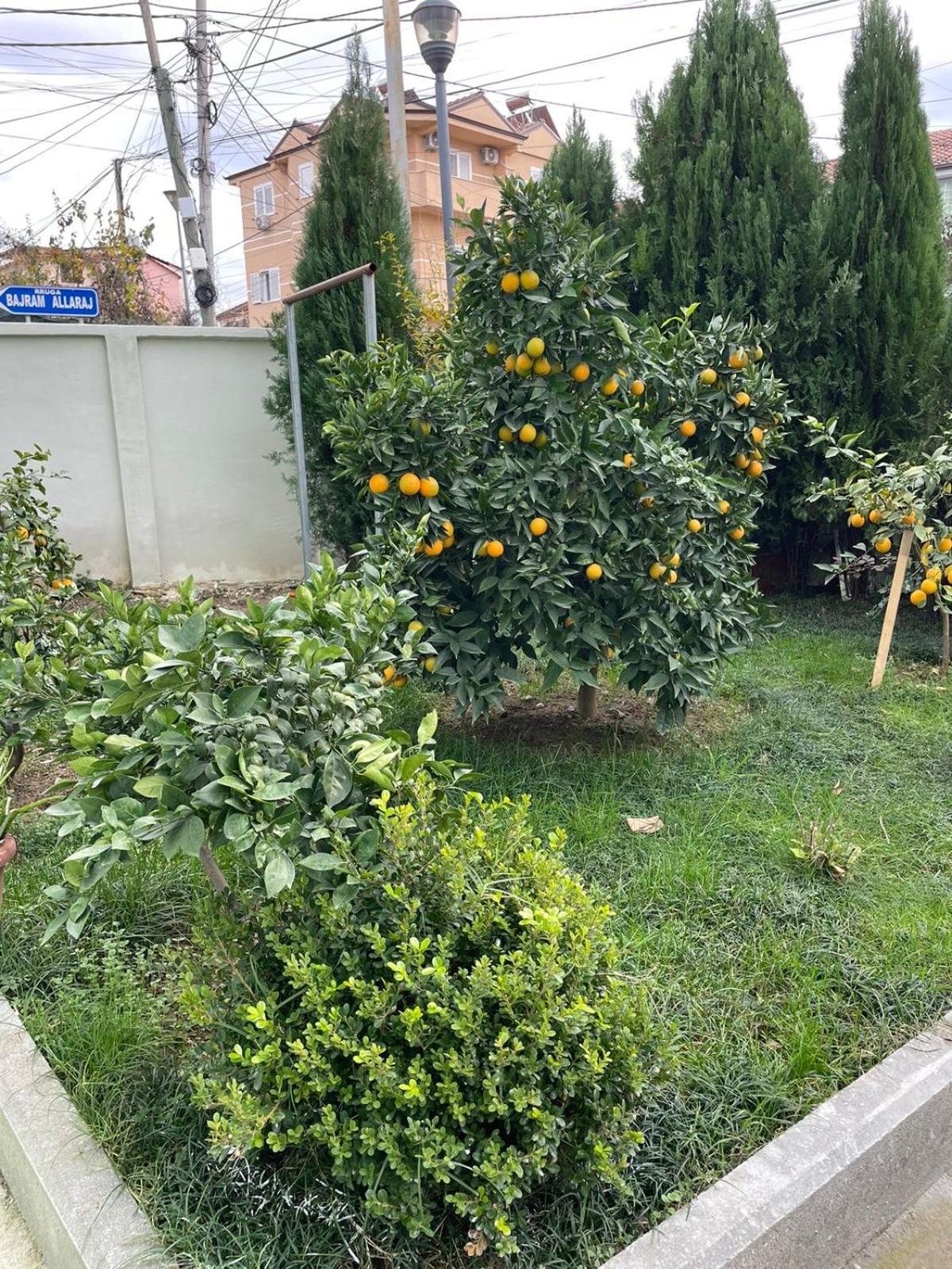 Kevi 'S Place 티라나 외부 사진